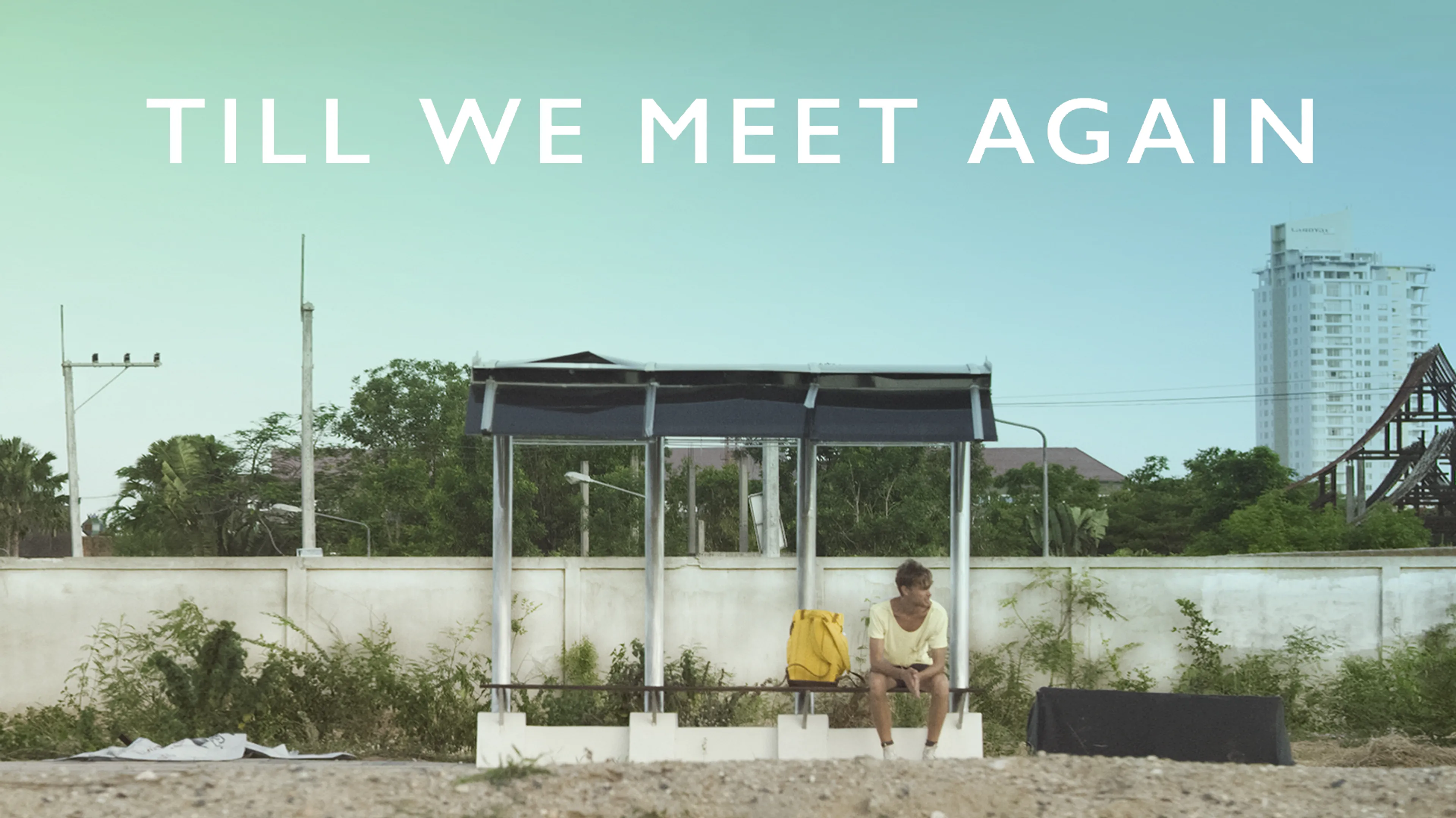Till We Meet Again poster